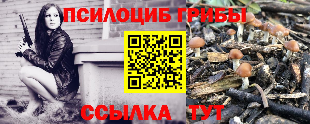 Новосибирск  Псилоцибиновые грибы Cubensis  Вход с VPN  Галлюциногенные грибы Psilocybe 